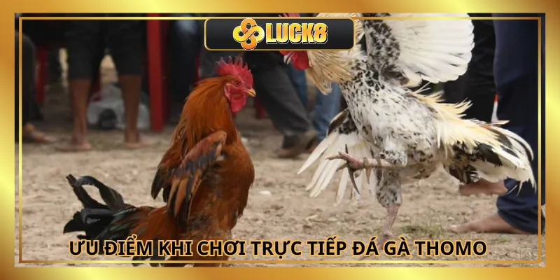 Luck8 đem đến trải nghiệm chân thực và dễ thắng